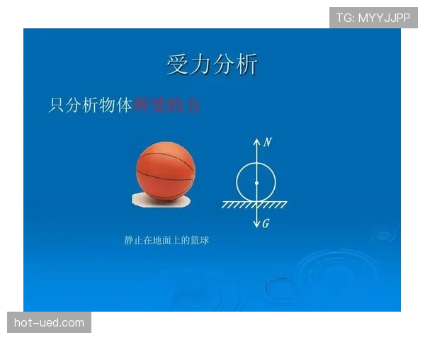 解析篮球争议球处理规则的判定依据与执行标准
